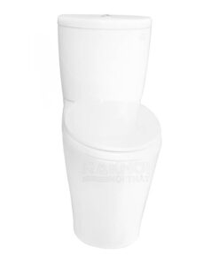 Bồn cầu ToTo 2 khối CS819DST2