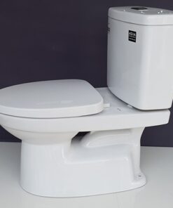 Bồn cầu Inax c-504van