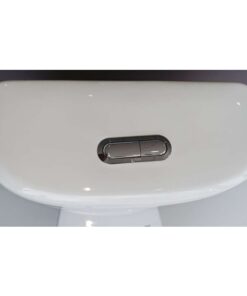 Két nước bồn cầu Inax 306