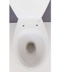 Lòng bồn cầu Inax 504