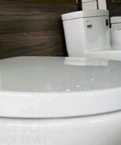 Nắp bồn cầu Inax AC-959+CW-S15VN Nắp Cơ