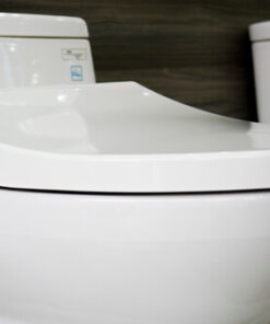 Nắp Bàn Cầu TOTO 1 Khối MS884E4