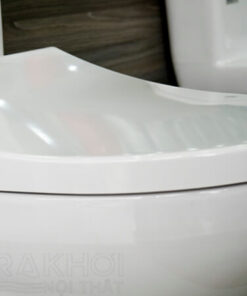 Nắp bồn cầu ToTo CS320DRE4