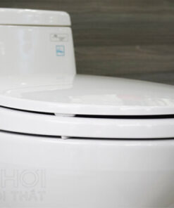 Nắp Bàn Cầu TOTO 1 Khối MS884T2