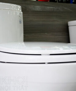 Nắp bồn cầu ToTo 1 khối MS889DT2