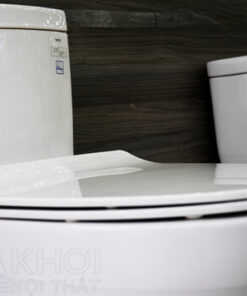 Nắp bồn cầu ToTo 1 khối MS889DT8