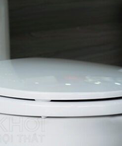 Nắp bồn cầu ToTo 2 khối CS819DST2