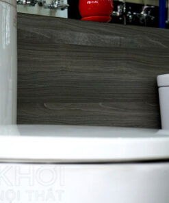 Nắp bồn cầu ToTo 2 khối CS819DST3