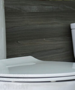 Nắp bồn cầu ToTo 2 khối c819t8
