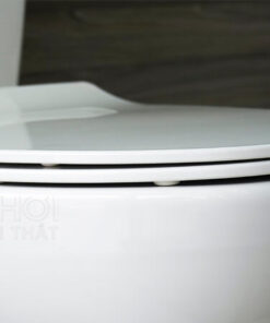 Nắp bồn cầu ToTo 2 khối CS300DRT8
