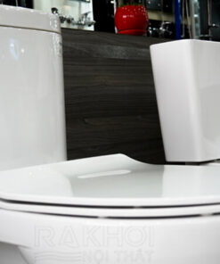 Nắp bồn cầu CS325DRT8