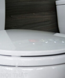 Nắp bồn cầu ToTo 2 khối CS350DT2