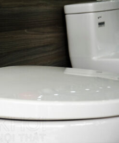 Nắp bồn cầu ToTo CS350DT3