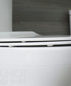 Nắp bồn cầu 2 khối ToTo cs818t8