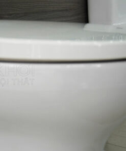 Nắp bồn cầu CS320DRT3