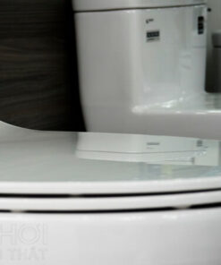 Nắp bồn cầu ToTo CS320DRT8