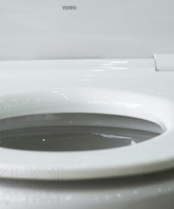 Thành bồn cầu ToTo 2 khối CS818DT8