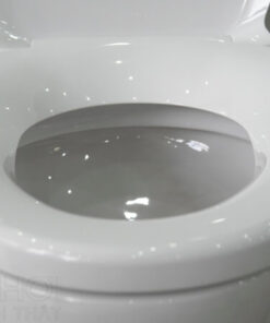 Thành bồn cầu 2 khối ToTo CS320PDRT2