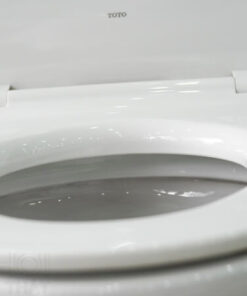 Thành bồn cầu ToTo 2 khối CS320DRT8