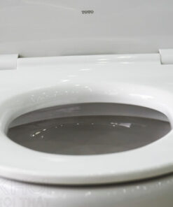 Thành bồn cầu ToTo 2 khối Nắp bồn cầu ToTo 2 khối CS300DRT8