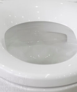 Thành bồn cầu ToTo 1 khối MS889DT2