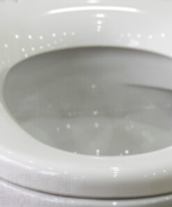 Thành bồn cầu ToTo MS889DT3