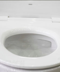 Thành bồn cầu ToTo MS889DT8