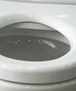 Thành bồn cầu ToTo 2 khối cs818e4 nắp cơ