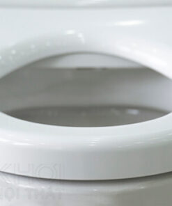 Thành bồn cầu ToTo CS819DSE4 nắp cơ