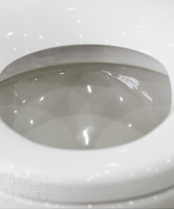 Vành trong bồn cầu ToTo CS320DRT2