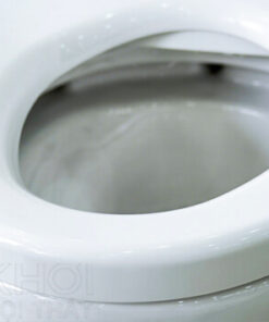 Vành trong bồn cầu ToTo CS350DE4