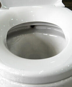 Vành trong bồn cầu ToTo 2 khối CS350DT2