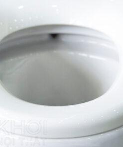 Vành trong bồn cầu ToTo 2 khối CS350DT3