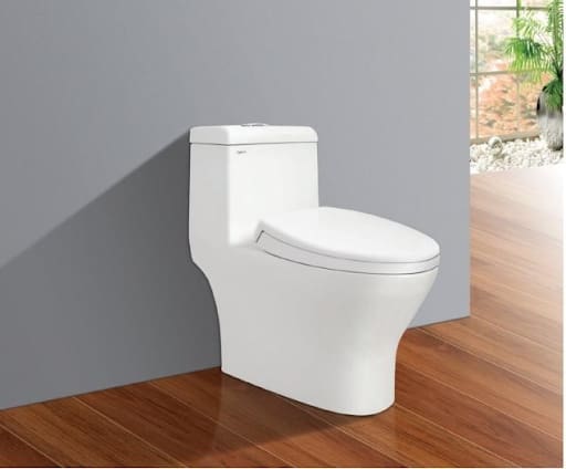 Bồn cầu Viglacera