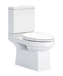 Bàn Cầu 2 Khối COTTO C1182 Viva E Bàn Cầu 2 Khối COTTO C1182 Viva E Bàn Cầu 2 Khối COTTO C1182 Viva E Bàn Cầu 2 Khối COTTO C1182 Viva E
