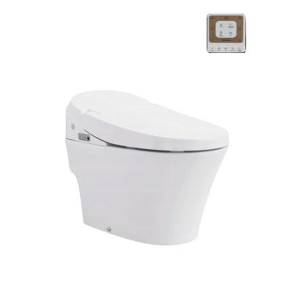 Bồn cầu thông minh 1 khối Viglacera V91