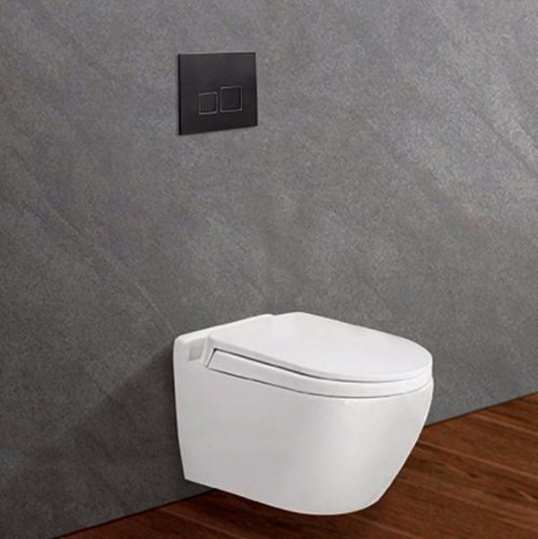 Bồn cầu Viglacera âm tường