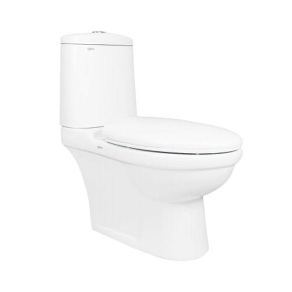 Bồn cầu Viglacera két rời