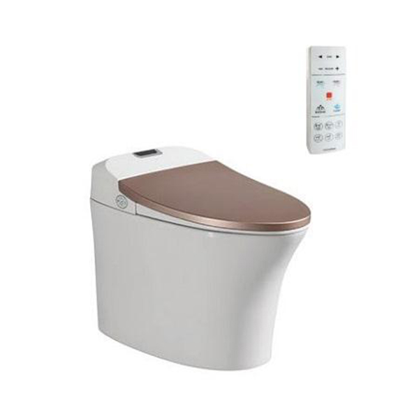 Bồn cầu Viglacera nắp điện tử