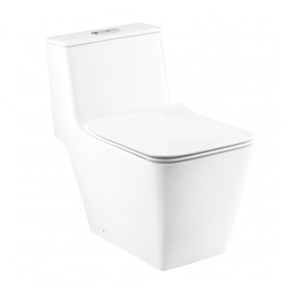 Mẫu bồn cầu Cotto 1 khối