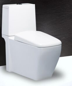 Bàn Cầu Caesar 2 Khối CD1346 Nắp Đóng Êm Bàn Cầu Caesar 2 Khối CD1346 Nắp Đóng Êm Bàn Cầu Caesar 2 Khối CD1346 Nắp Đóng Êm Bàn Cầu Caesar 2 Khối CD1346 Nắp Đóng Êm
