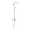 sen-cay-grohe-26244001