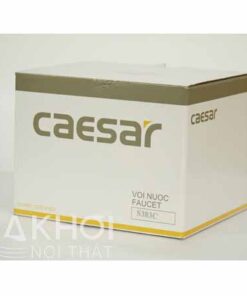 voi-sen-tam-casesar-s383c-carton