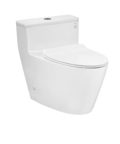Bồn Cầu 1 Khối TOTO MS625DT8 Nắp Đóng Êm Bồn Cầu 1 Khối TOTO MS625DT8 Nắp Đóng Êm Bồn Cầu 1 Khối TOTO MS625DT8 Nắp Đóng Êm Bồn Cầu 1 Khối TOTO MS625DT8 Nắp Đóng Êm